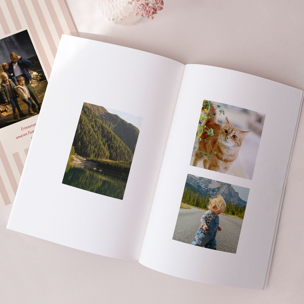 le Petit Quotidien - 1