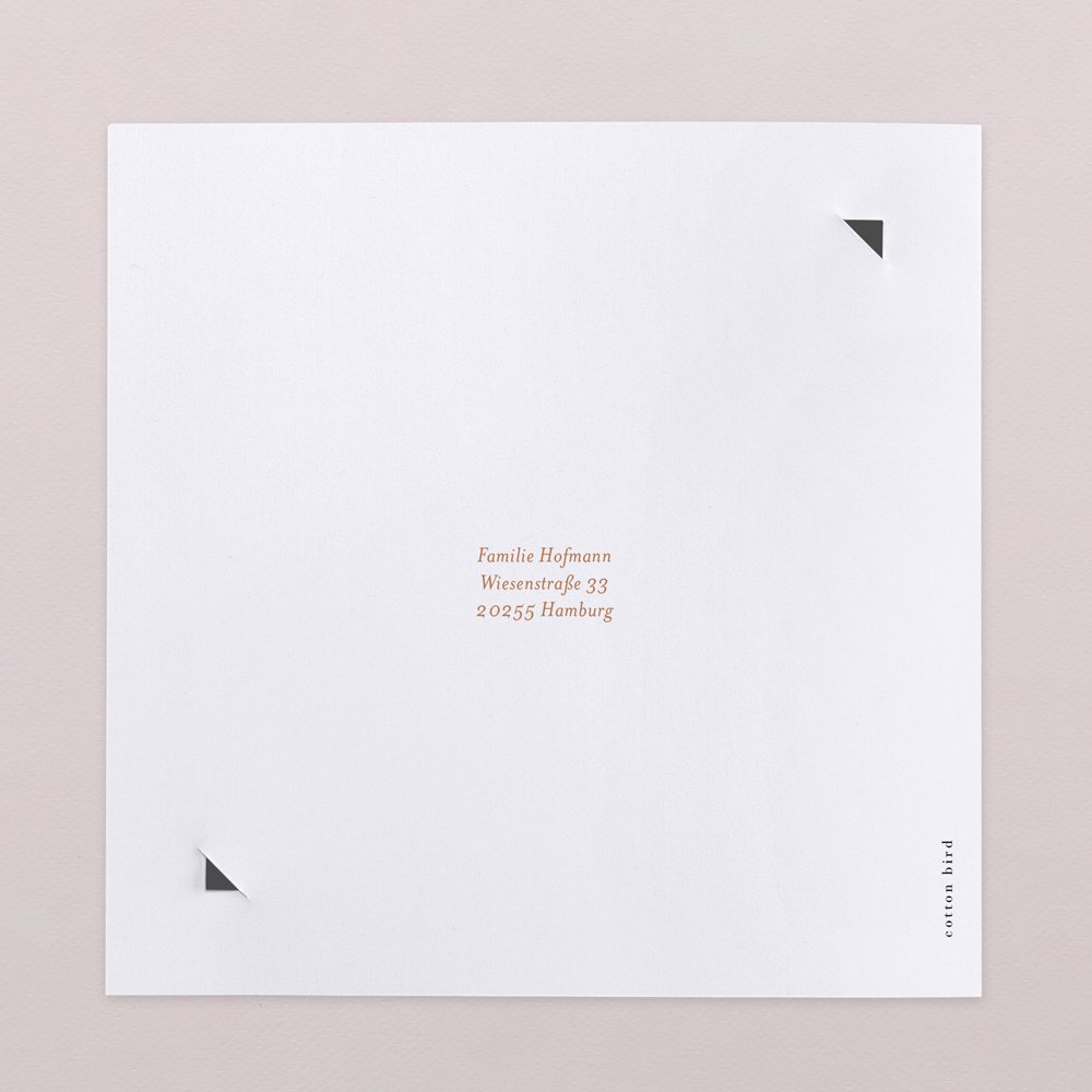 Vogelfamilie - Terracota