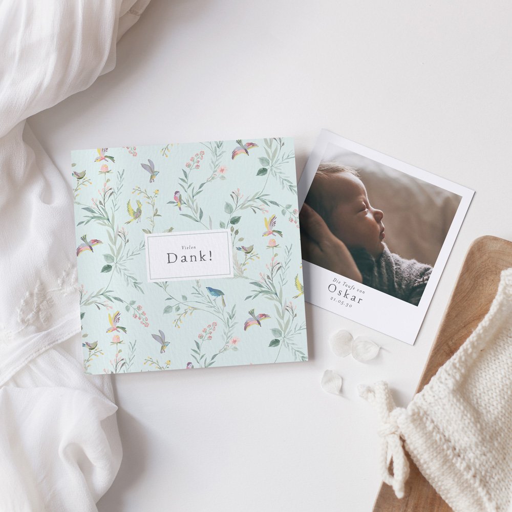 Vogelgezwitscher türkis