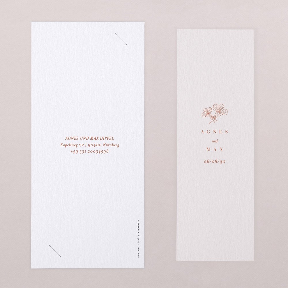 Lobelia Cardinalis I