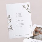 Lorbeerblätter - Photo