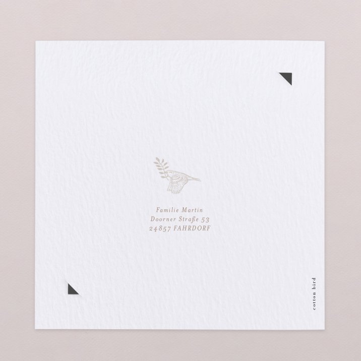 Sleeping Forest - Natur