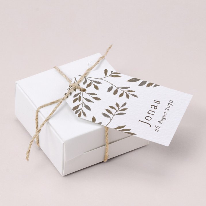 Lorbeerblätter - Photo